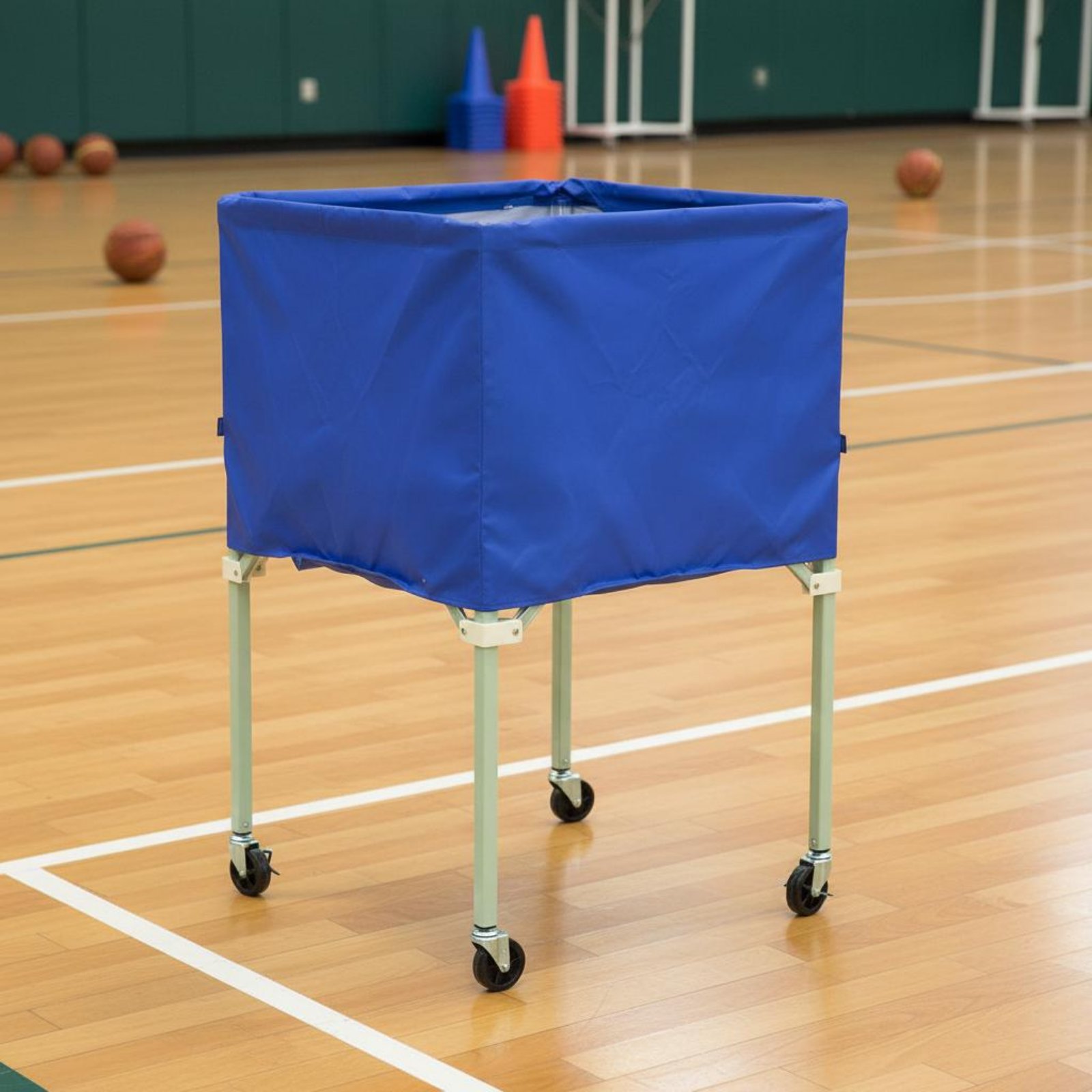 Ball Vehicle Cover Shielding S - Sports Equipment Organizer Rack review and price